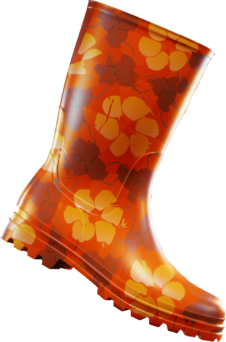 SYMMETRICITY_example_gumboot